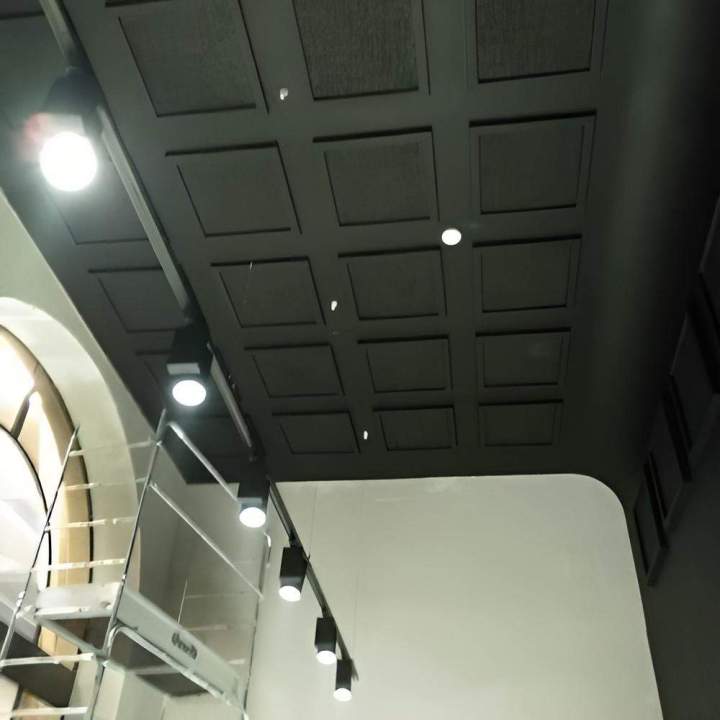 Rénovation plafonds Orléans